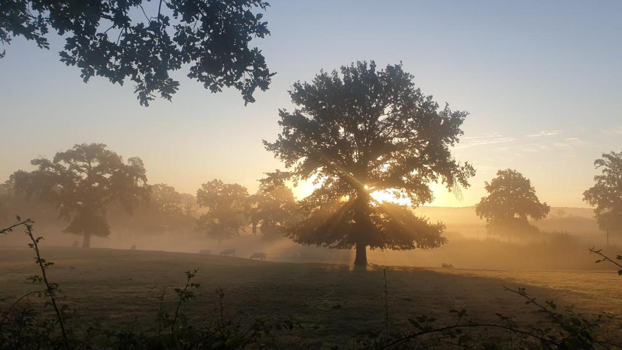 Glamping Les Arbres, Luxe Safaritent Met Zwembad Cronat エクステリア 写真